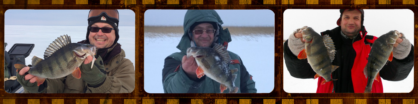 Maxfishing - форум настоящих рыбаков Maxfishing - форум настоящих рыбаков