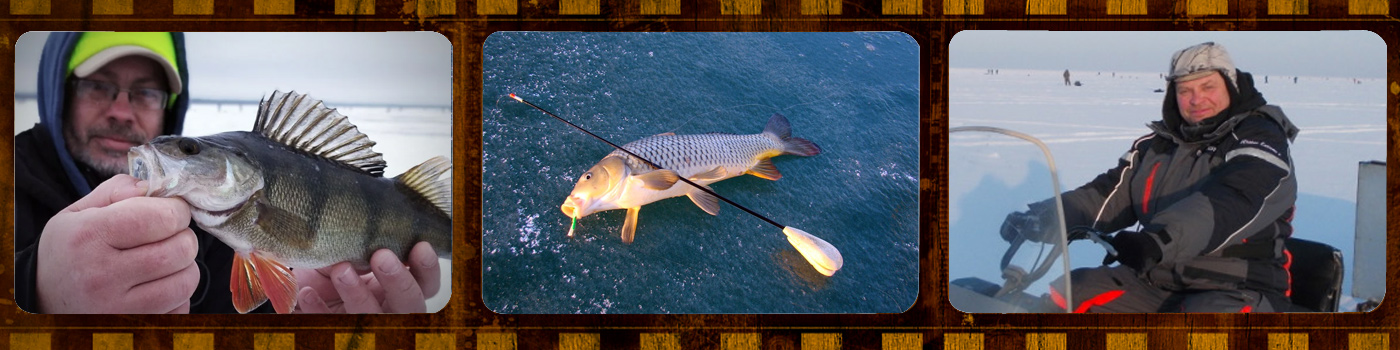 Maxfishing - форум настоящих рыбаков Maxfishing - форум настоящих рыбаков