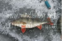 Увеличить картинку (новое окно)