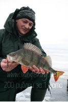 Увеличить картинку (новое окно)