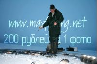 Увеличить картинку (новое окно)