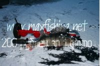 Увеличить картинку (новое окно)