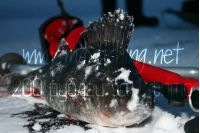 Увеличить картинку (новое окно)