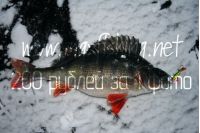 Увеличить картинку (новое окно)