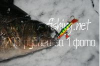 Увеличить картинку (новое окно)