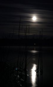 Увеличить картинку (новое окно)