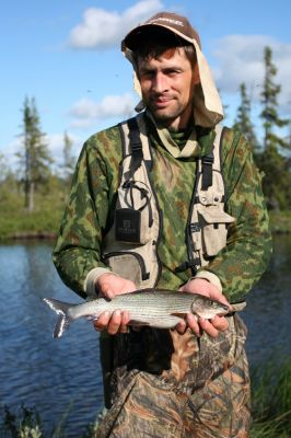 Увеличить картинку (новое окно)