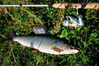 Увеличить картинку (новое окно)