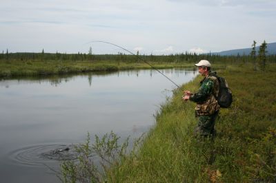 Увеличить картинку (новое окно)