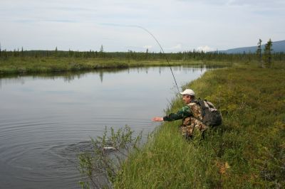 Увеличить картинку (новое окно)