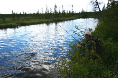 Увеличить картинку (новое окно)