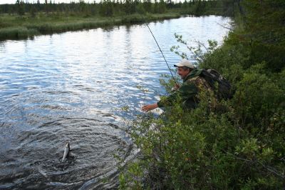Увеличить картинку (новое окно)