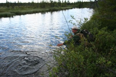 Увеличить картинку (новое окно)