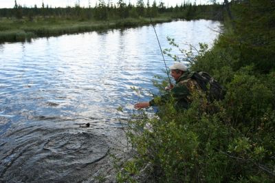 Увеличить картинку (новое окно)