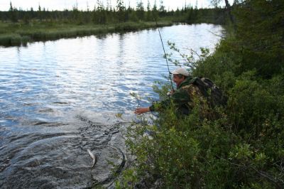 Увеличить картинку (новое окно)