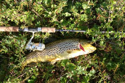 Увеличить картинку (новое окно)