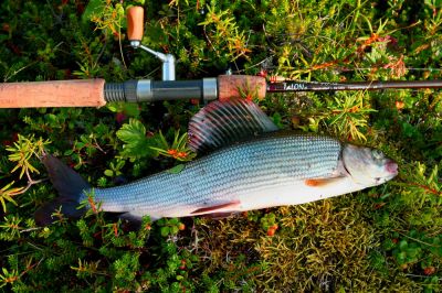 Увеличить картинку (новое окно)