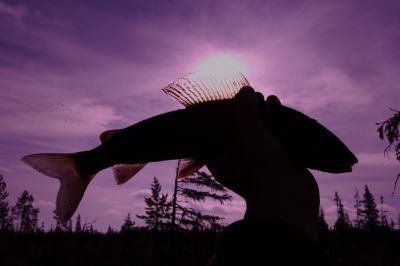 Увеличить картинку (новое окно)