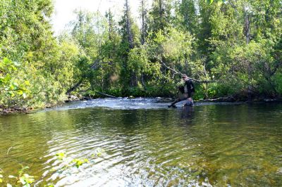 Увеличить картинку (новое окно)