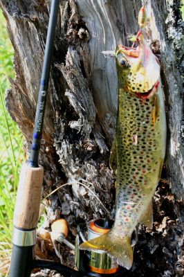 Увеличить картинку (новое окно)