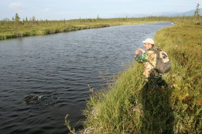 Увеличить картинку (новое окно)