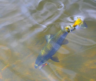 Увеличить картинку (новое окно)