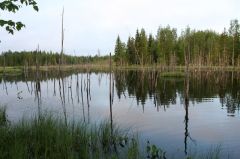 Увеличить картинку (новое окно)