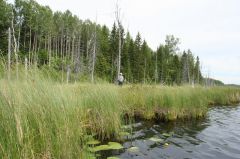 Увеличить картинку (новое окно)