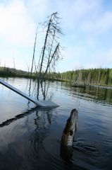 Увеличить картинку (новое окно)