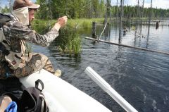 Увеличить картинку (новое окно)