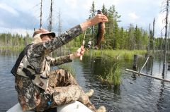 Увеличить картинку (новое окно)