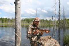 Увеличить картинку (новое окно)