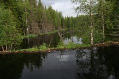 Увеличить картинку (новое окно)