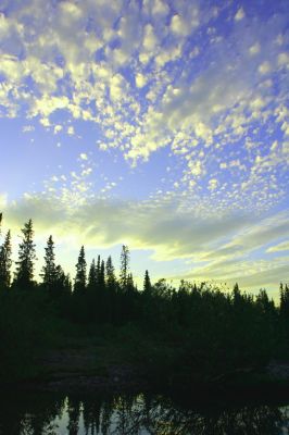 Увеличить картинку (новое окно)