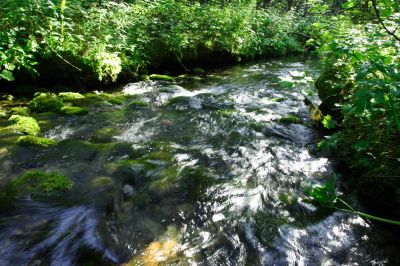 Увеличить картинку (новое окно)