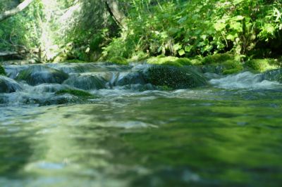 Увеличить картинку (новое окно)