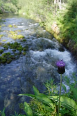 Увеличить картинку (новое окно)