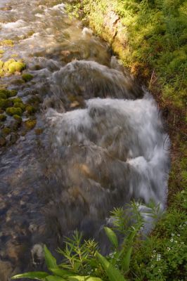 Увеличить картинку (новое окно)