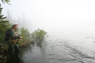 Увеличить картинку (новое окно)