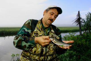 Увеличить картинку (новое окно)