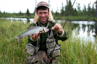 Увеличить картинку (новое окно)