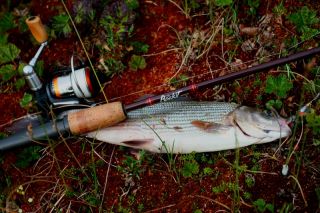 Увеличить картинку (новое окно)