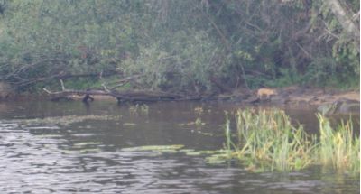 Увеличить картинку (новое окно)