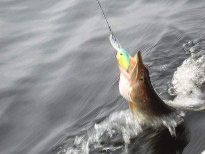 Увеличить картинку (новое окно)