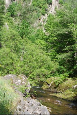 Увеличить картинку (новое окно)