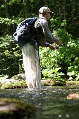 Увеличить картинку (новое окно)