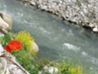 Увеличить картинку (новое окно)