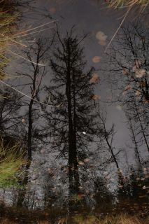 Увеличить картинку (новое окно)