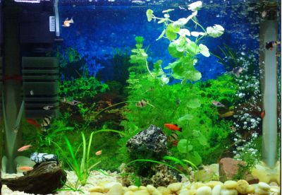 Увеличить картинку (новое окно)