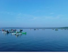 Шатурский хищник 2010 - перед 2 туром